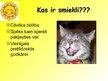 Prezentācija 'Smieklu terapija', 3.