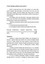 Referāts 'Politiskās partijas', 6.