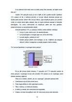 Referāts 'Politiskās partijas', 15.