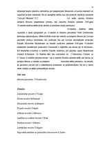 Referāts 'Latvijas Republikas Ministru kabineta lēmumu pieņemšanas procesa analīze', 15.