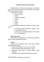 Referāts 'Stratēģiskā plānošana un vadība', 6.