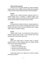 Referāts 'Stratēģiskā plānošana un vadība', 7.