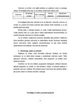 Referāts 'Stratēģiskā plānošana un vadība', 11.