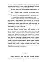 Referāts 'Stratēģiskā plānošana un vadība', 14.