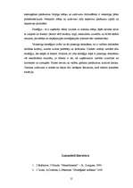 Referāts 'Stratēģiskā plānošana un vadība', 15.