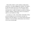 Eseja 'Mans pedagoģiskā darba stils', 2.