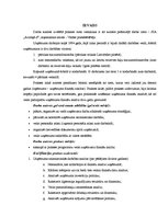 Prakses atskaite 'Kvalifikācijas prakses atskaite uzņēmumā SIA "Avotiņš-S"', 3.