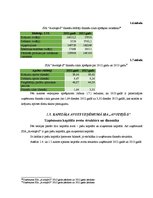 Prakses atskaite 'Kvalifikācijas prakses atskaite uzņēmumā SIA "Avotiņš-S"', 17.