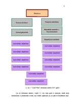 Referāts 'Starptautisko kravu pārvadājumu ekspedīcija', 6.