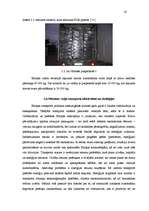 Referāts 'Starptautisko kravu pārvadājumu ekspedīcija', 20.