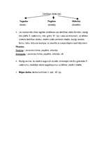 Konspekts 'Stundas plāns latviešu valodā 7.klasei', 2.