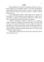 Referāts 'Plānošana', 2.