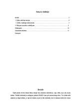 Referāts 'Priekšstati par krāsām un to simboliskā nozīme', 1.