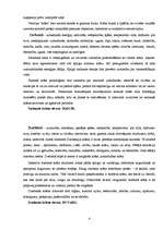 Referāts 'Priekšstati par krāsām un to simboliskā nozīme', 4.