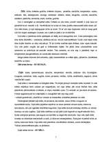 Referāts 'Priekšstati par krāsām un to simboliskā nozīme', 5.