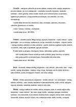 Referāts 'Priekšstati par krāsām un to simboliskā nozīme', 6.