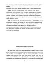 Referāts 'Priekšstati par krāsām un to simboliskā nozīme', 7.