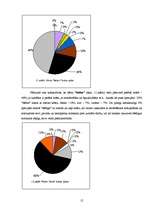 Referāts 'Priekšstati par krāsām un to simboliskā nozīme', 12.