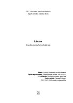 Diplomdarbs 'Limina', 1.