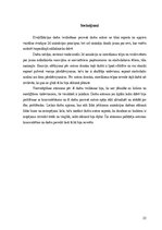 Diplomdarbs 'Limina', 22.