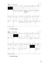 Diplomdarbs 'Limina', 30.