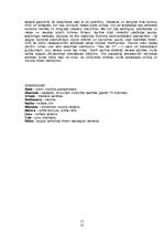 Referāts 'Budisms un Buda', 11.