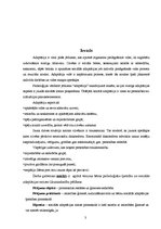 Referāts 'Sociālās adaptācijas norise pirmsskolas izglītības iestādē', 3.
