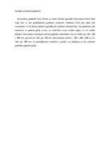 Referāts 'Sagatavju pirmapstrāde, pirmā daļa', 10.