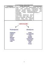 Referāts 'Uzturmācība', 4.