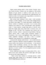 Referāts 'Sociālais darbs Lietuvā', 4.