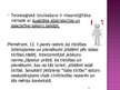 Prezentācija 'Teleoloģiskā interpretācijas metode', 20.