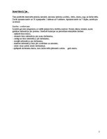 Paraugs 'Uzskaites sistēma kadru daļai', 2.