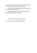 Eseja 'Postmodernisms', 6.