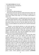 Diplomdarbs 'Naudas viltošanas krimināltiesiskā reglamentācija un tās apkarošanas problemātik', 25.
