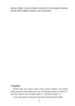 Referāts 'Dzīves kvalitāte Bauskas rajonā', 10.