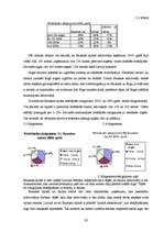 Referāts 'Dzīves kvalitāte Bauskas rajonā', 20.