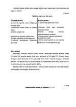 Referāts 'Dzīves kvalitāte Bauskas rajonā', 23.