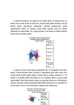 Referāts 'Dzīves kvalitāte Bauskas rajonā', 26.