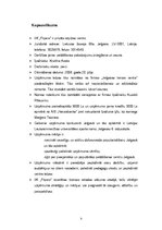 Biznesa plāns 'I/K "Flipers"', 3.