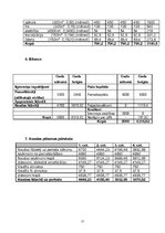 Biznesa plāns 'I/K "Flipers"', 17.