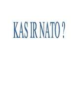 Referāts 'NATO', 1.