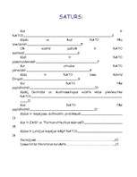 Referāts 'NATO', 2.