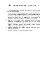 Referāts 'NATO', 7.