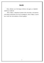 Referāts 'Informācijas mērīšana, informācijas apjoms, dažādas skaitīšanas sistēmas', 3.