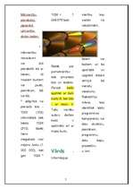 Referāts 'Informācijas mērīšana, informācijas apjoms, dažādas skaitīšanas sistēmas', 7.