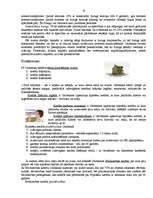 Referāts 'SEB Unibanka pakalpojumu veidu raksturojums un analīze', 15.