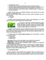 Referāts 'SEB Unibanka pakalpojumu veidu raksturojums un analīze', 16.