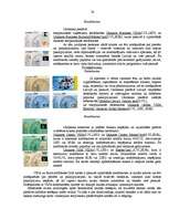 Referāts 'SEB Unibanka pakalpojumu veidu raksturojums un analīze', 19.