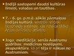 Prezentācija 'Indijas kultūra', 11.