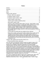 Diplomdarbs 'Kapitāla struktūras noteikšana uzņēmuma "Statoil Fuel & Retail Latvia" SIA reali', 6.